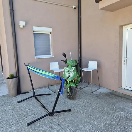 Apartment Zolic